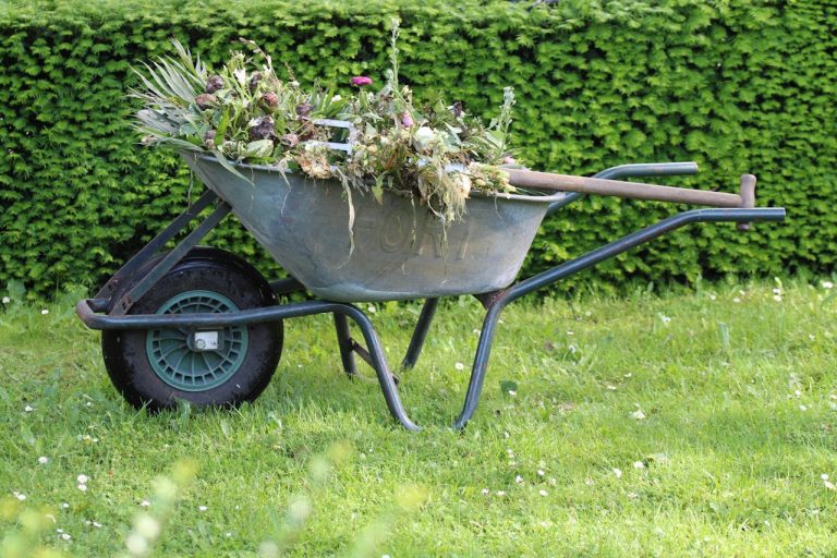 A wheelbarrow full of weeds in a garden.